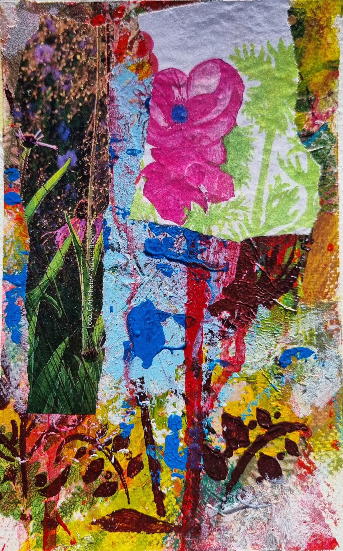 rosa Blume, roter Stengel, 11